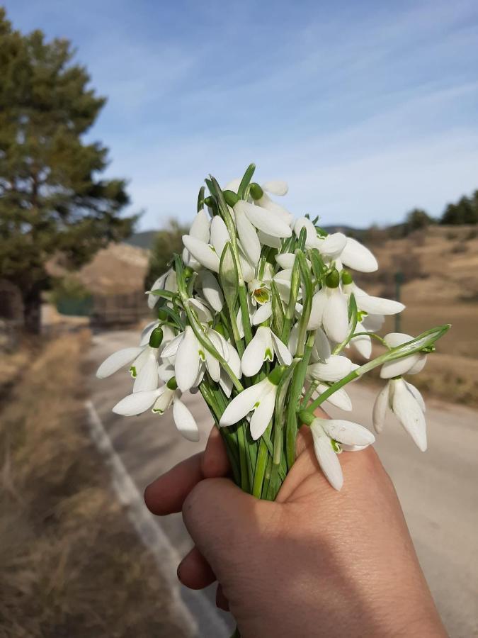 Apartamento La Montesa La Virgen de la Vega エクステリア 写真